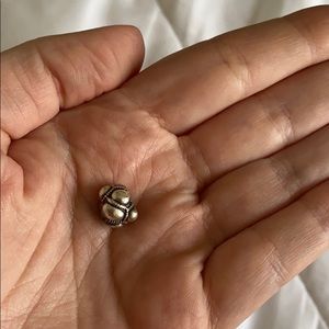 Pandora charm